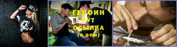 индика Володарск