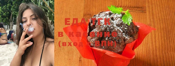 индика Володарск