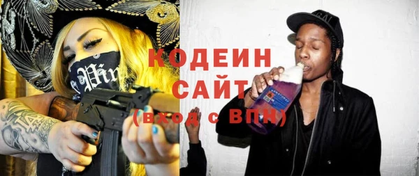индика Володарск